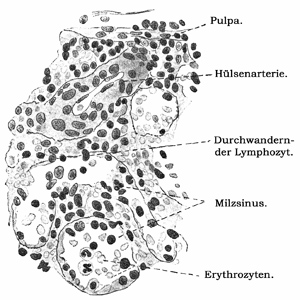 Fig. 122.