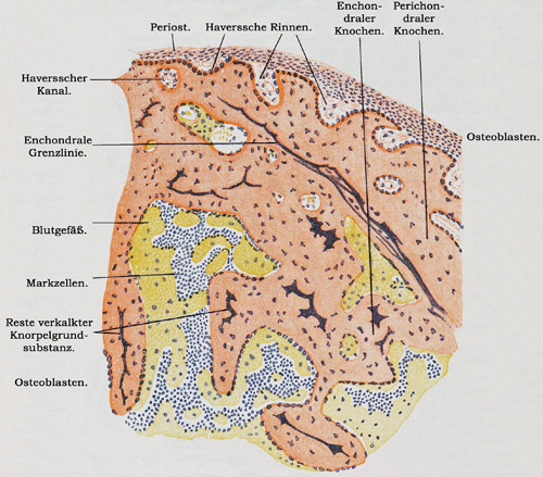 Fig. 132.