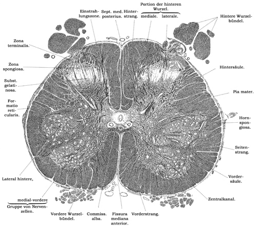Fig. 143.