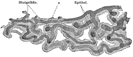 Fig. 160.