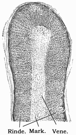 Fig. 190.