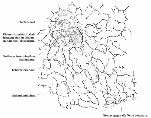 Fig. 261.