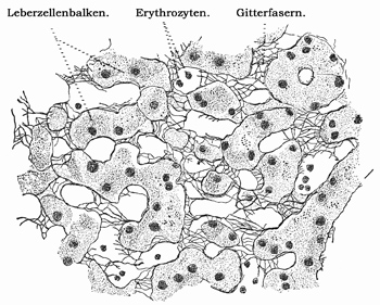 Fig. 265.