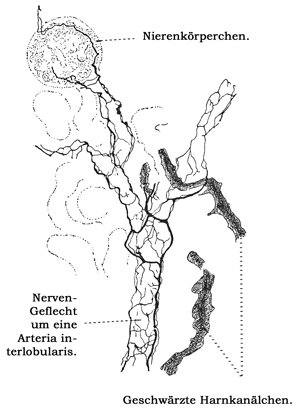 Fig. 294.