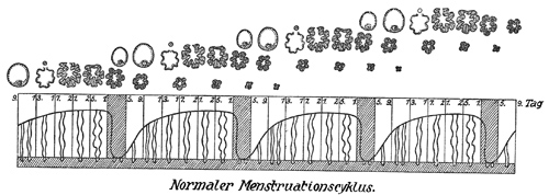 Fig. 316.