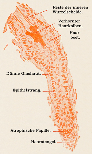 Fig. 353.