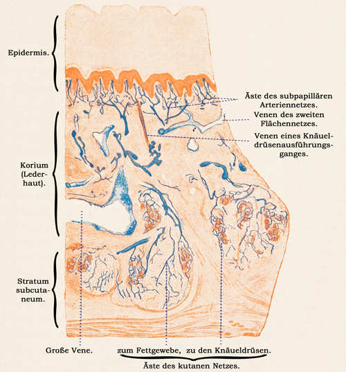 Fig. 356.