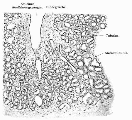 Fig. 357.