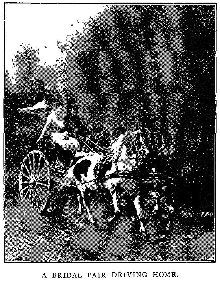 A Bridal Pair Driving Home.