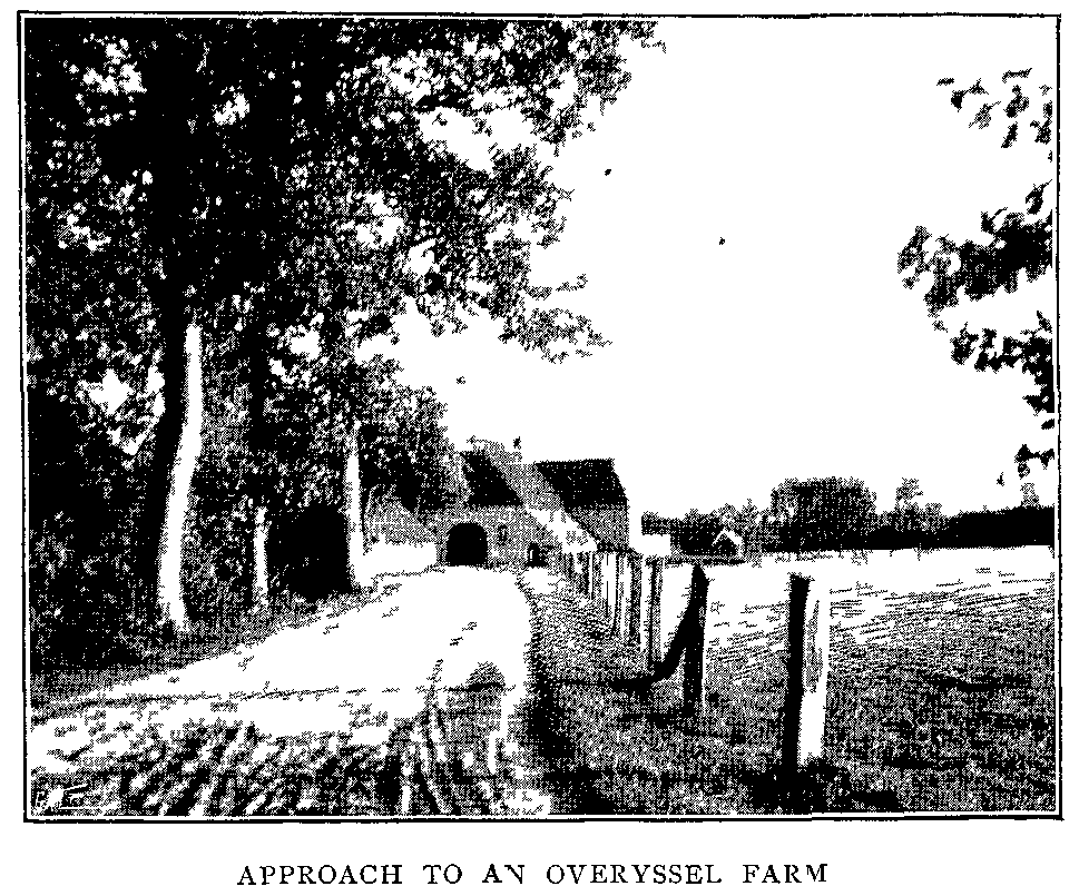 Approach to an Overyssel Farm.